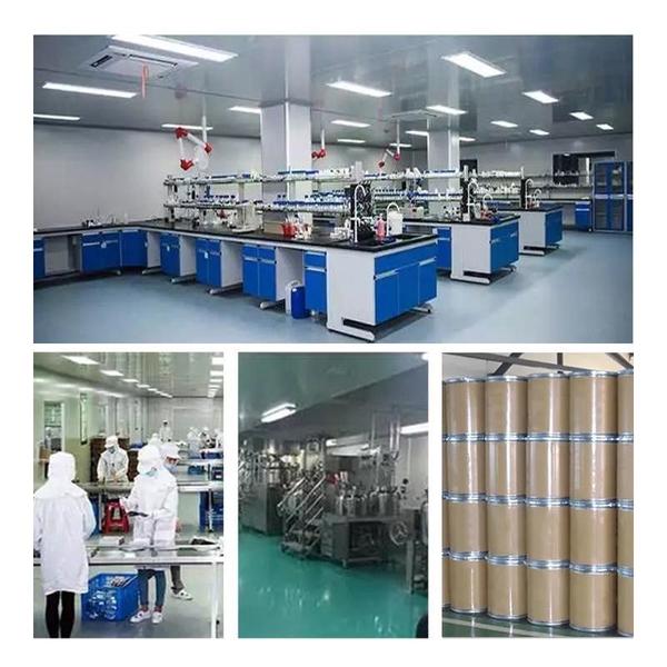 Cina Shaanxi Baisifu Biological Engineering Co., Ltd. Profil Perusahaan