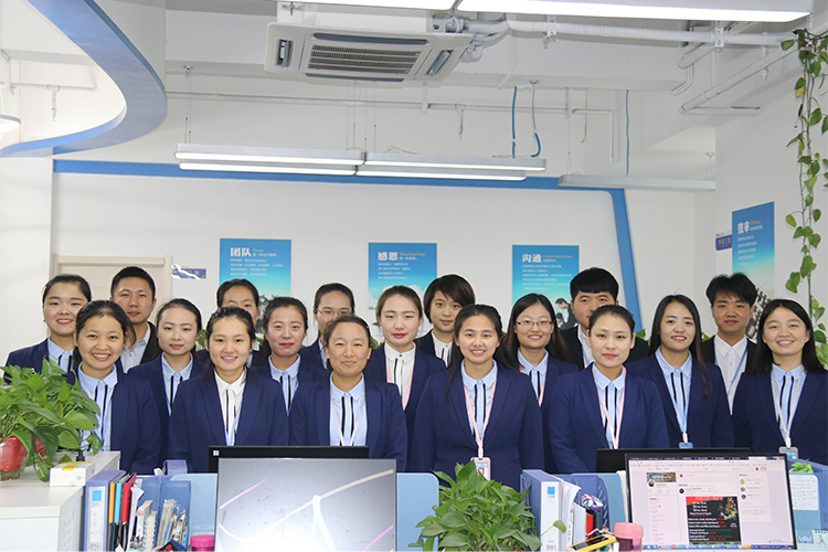 Cina Shaanxi Baisifu Biological Engineering Co., Ltd. Profil Perusahaan