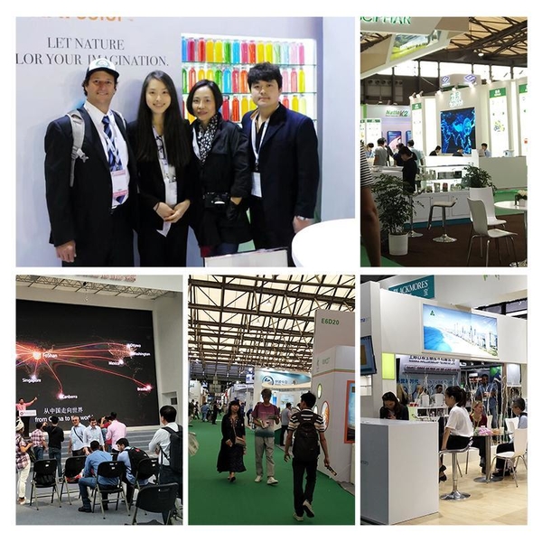 Cina Shaanxi Baisifu Biological Engineering Co., Ltd. Profil Perusahaan