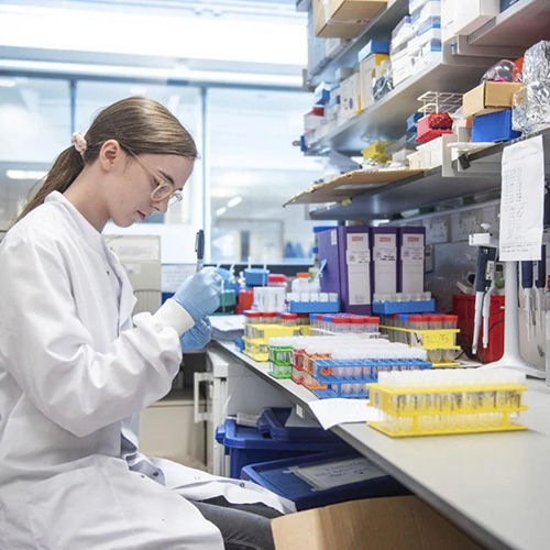 Shaanxi Baisifu Biological Engineering Co., Ltd. lini produksi pabrik