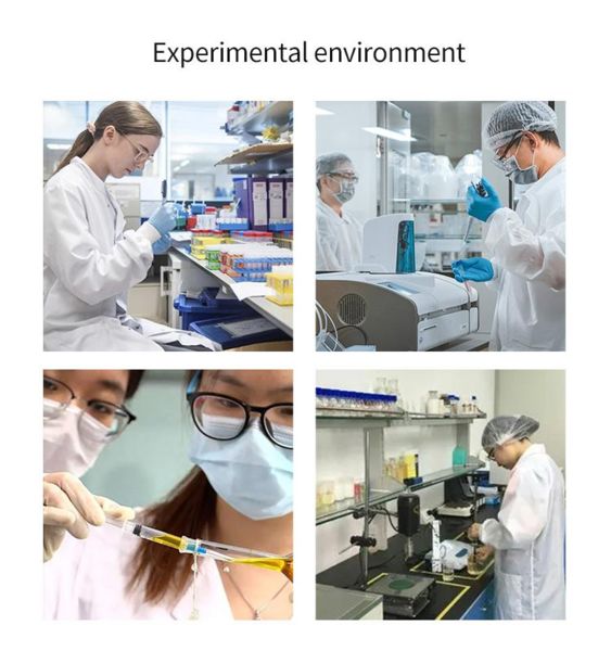 Shaanxi Baisifu Biological Engineering Co., Ltd. lini produksi pabrik