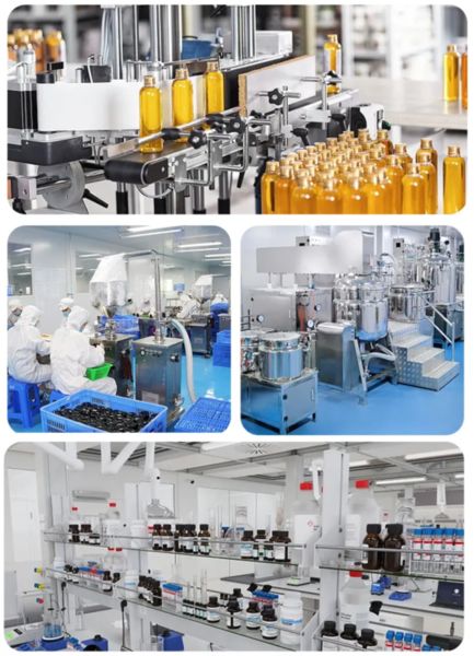 Shaanxi Baisifu Biological Engineering Co., Ltd. lini produksi pabrik