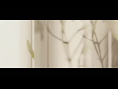 Minyak esensial pohon teh Minyak lavender Minyak peppermint Minyak pohon kampo Minyak serebrol Minyak esensial mawar Euca