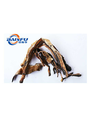 Baisfu Yellow Brown fine powder Natural Pheretima.P.E 5:1,10:1,20:1 use in cosmetic and medicine