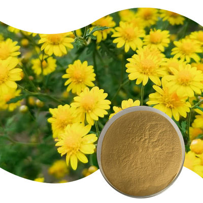 Baisfu natural Chrysanthemi Indici Flos P.E Best quality brown yellow fine powder for Natural antioxidants and medicine