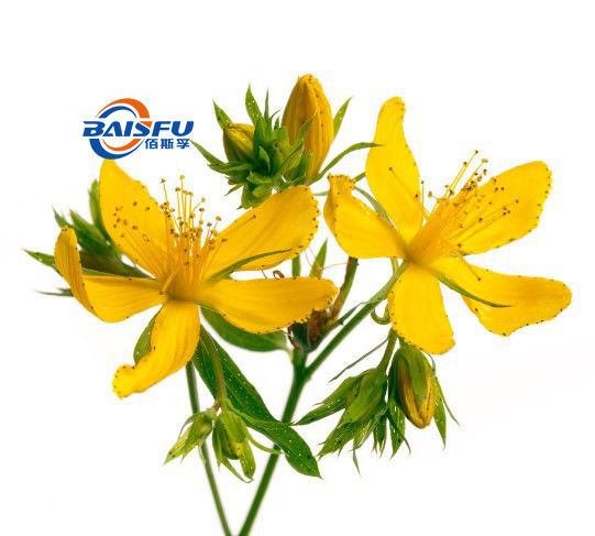 Baisfu high quality Brownish-gray fine powder Natural St. John'S Wort Extract CAS NO: 118-34-3 hypericin for medicine