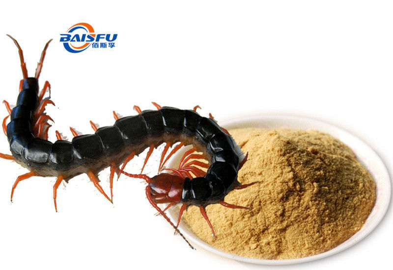 Baisfu Brown fine Powder Scolopendra P.E Pede scolopendra extract For Make Chinese medicinal materials