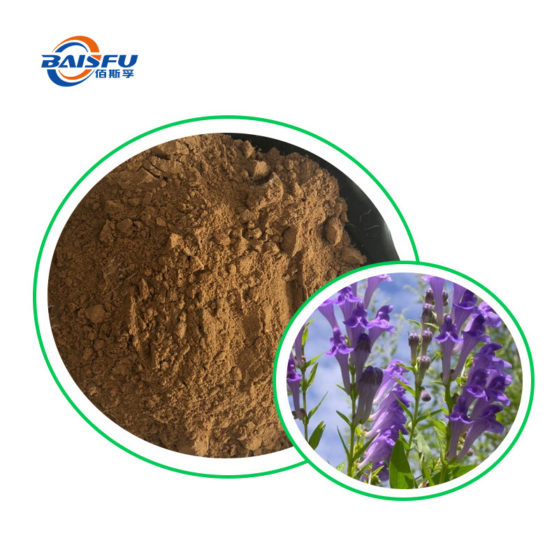 Premium Forskolin Extract 95% – High-Purity Coleus Forskohlii Root Powder