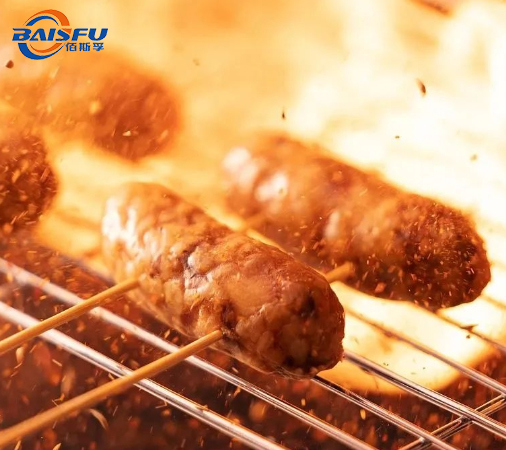 BAISFU Food Additives Sausage Flavor for Sausage and meat processing