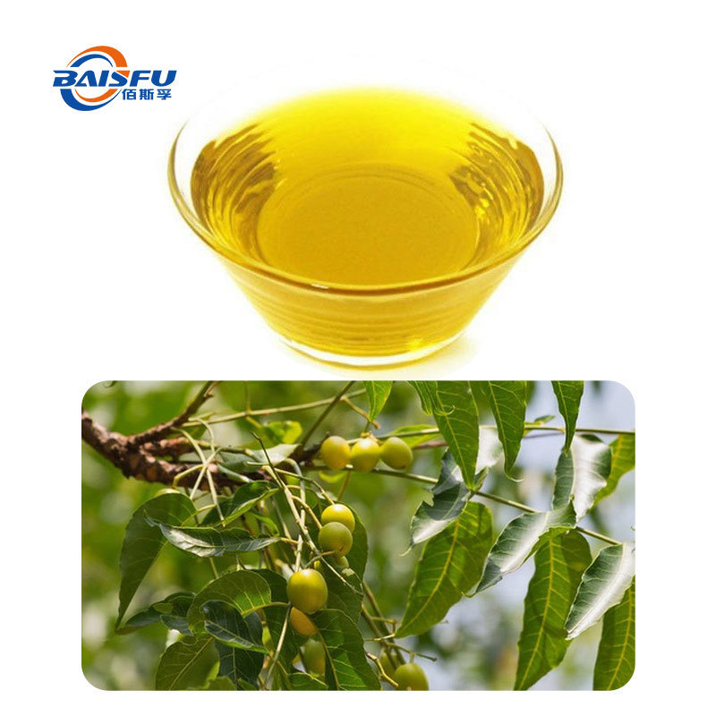 100% Pure Cold-Pressed Neem Seed Oil (Azadirachta Indica Seed Oil) – Natural Virgin Carrier Oil for Organic Skincare, Hair Care