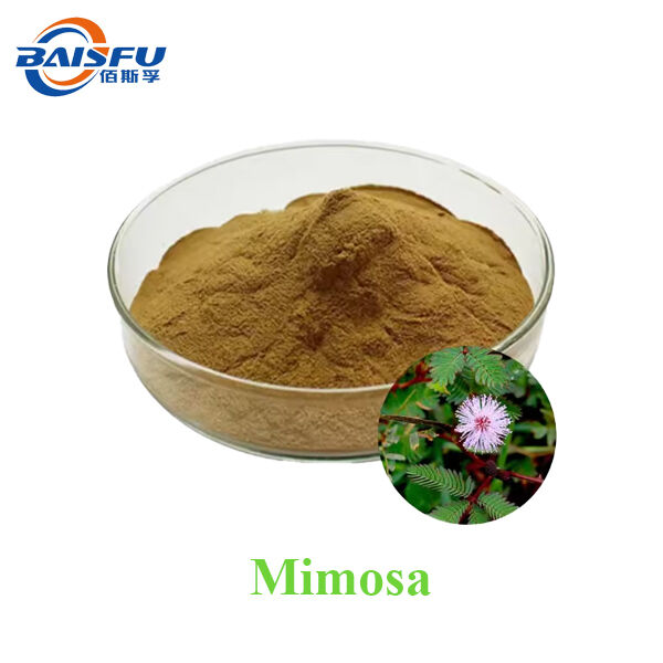 Baisfu Factory Sales Mimosa Extract Powder Brown Yellow Fine Powder for Health Supplements and Medicine