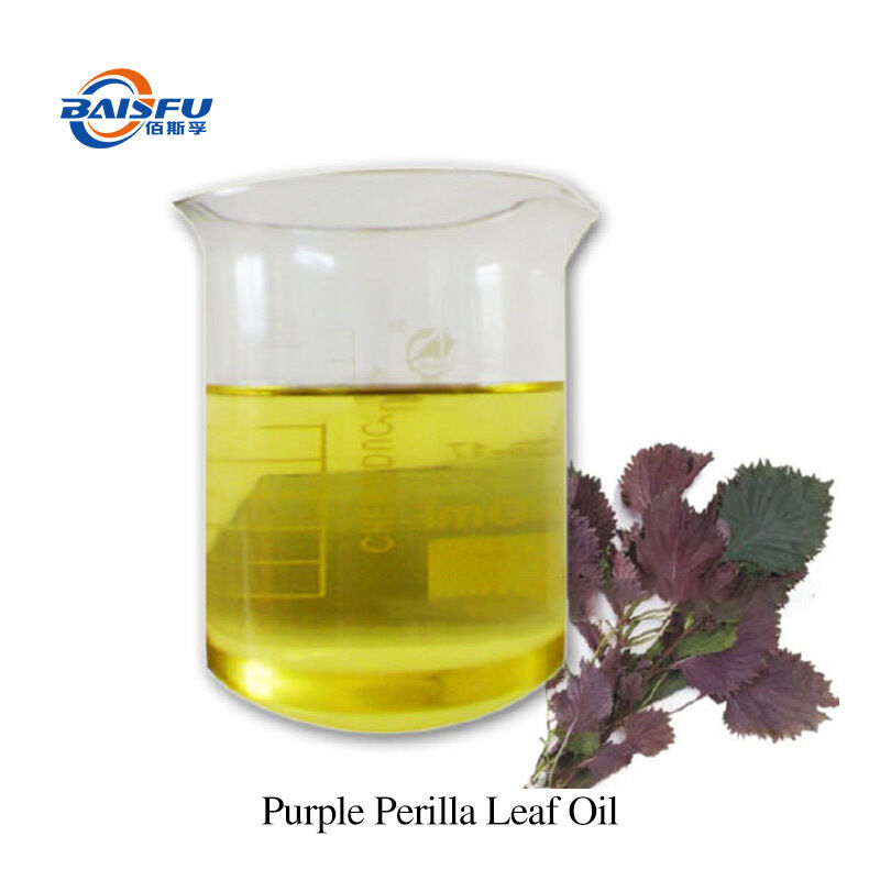 High Purity 99% Baisifu Purple Perilla Leaf Oil for Food Industry