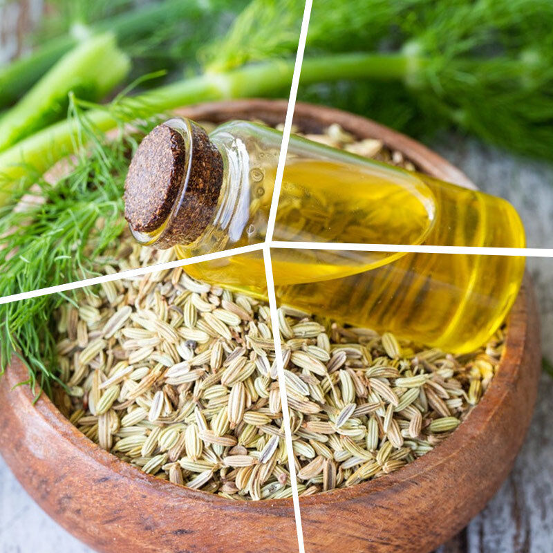 High Purity Food Grade Fennel Oil Flavor for Cooking Suitable for Meat Products Snacks and Seasonings